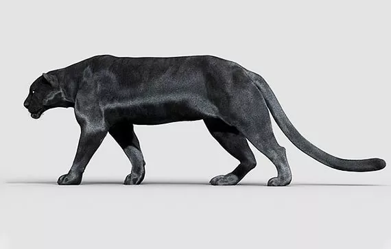 3D Product 20 - Image 7