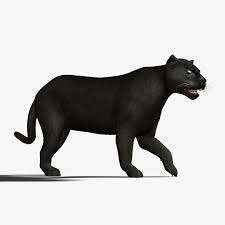 3D Product 20 - Image 4